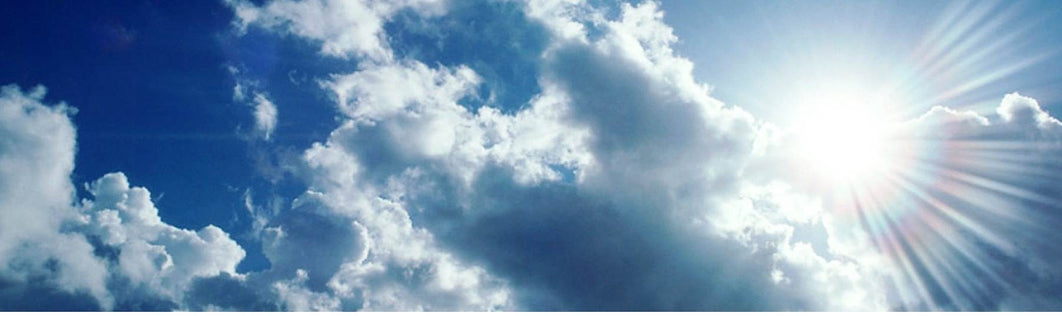 In loving Memory of my Dearest Friend