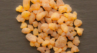 Frankincense (Boswellia sacra) — ingredient used in Zea natural wellness products