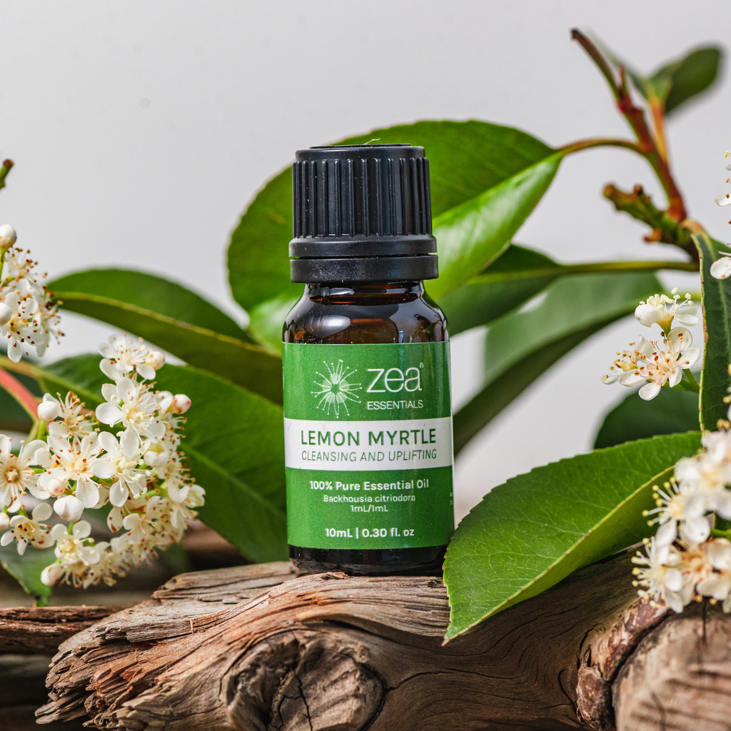 Lemon Myrtle Essential Oil